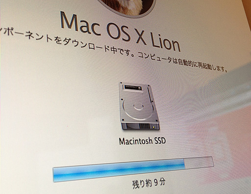 Mac OS X Lion Installer